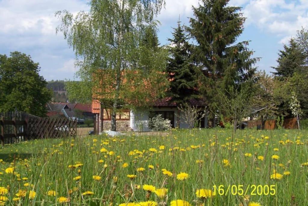 Ferienhaus Harz Villa Алроде Екстериор снимка